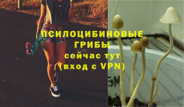 спиды Балабаново